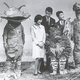 Illustration for article titled Behind-the-scenes Godzilla photos were charming, absolutely ridiculous
